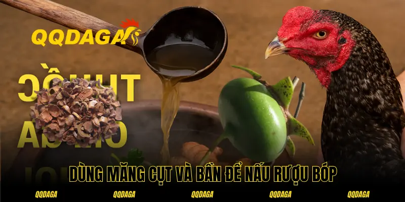 Cách ngâm rượu om bóp cho bằng măng cụt và bần