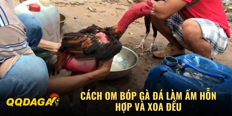 Cách om bóp gà đá làm ấm hỗn hợp và xoa đều