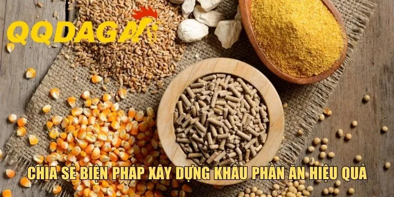 Chia sẻ biện pháp xây dựng khẩu phần ăn hiệu quả