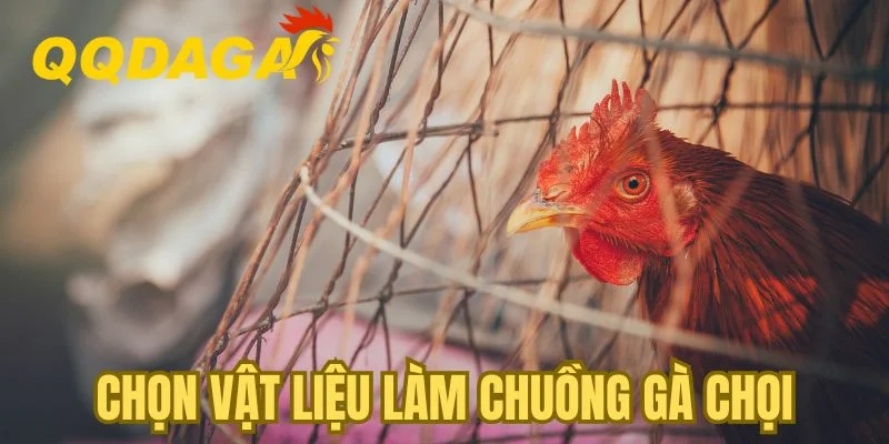 Chọn vật liệu làm chuồng gà chọi