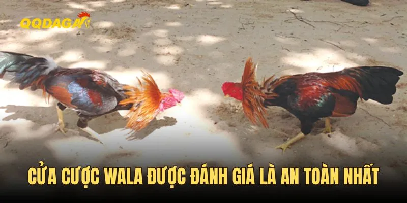 Cửa cược được đánh giá là an toàn