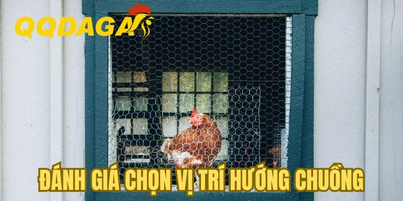 Đánh giá chọn vị trí và hướng chuồng