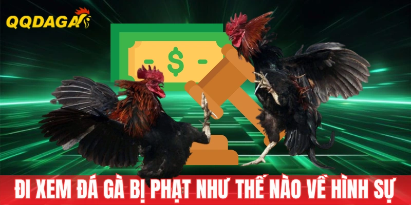Đi xem đá gà bị phạt như thế nào về mặt hình sự