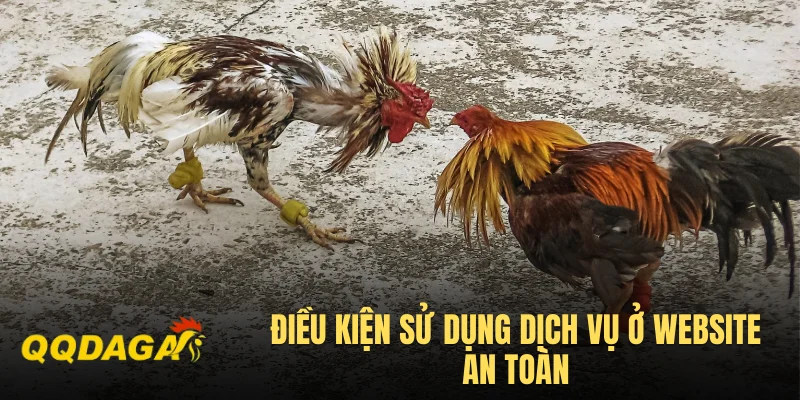Điều kiện sử dụng dịch vụ ở website an toàn