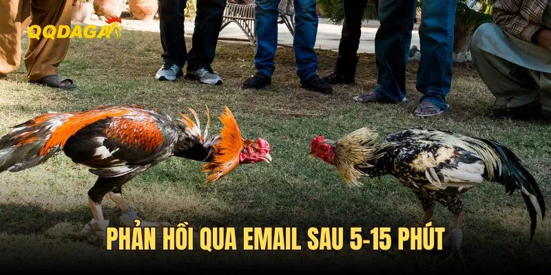 Các kênh liên hệ CSKH thần tốc