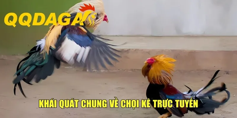 Khái quát chung về chọi kê trực tuyến