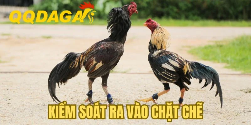 Kiểm soát người và vật ra vào khu vực nuôi