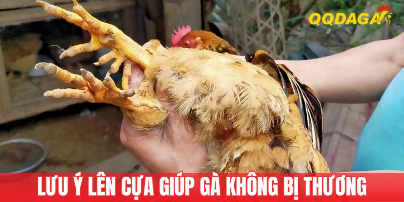 Một số lưu ý quan trọng khi trang bị vũ khí