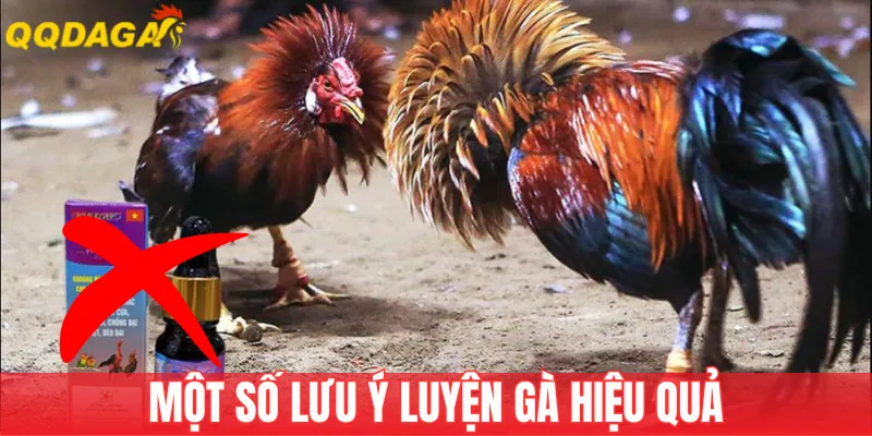 Huấn luyện vừa phải, không nóng vội