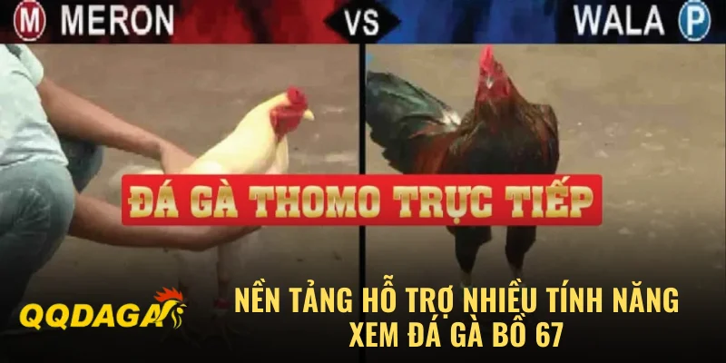 Nền tảng hỗ trợ nhiều tính năng xem đá gà bồ 67