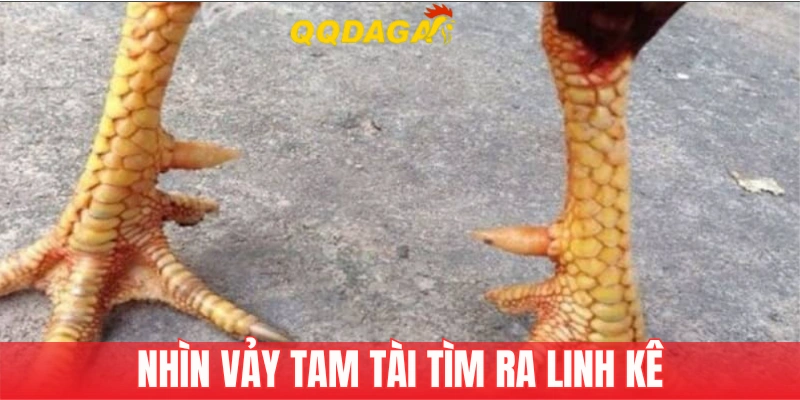 Cách nhận biết Tam Tài rất đơn giản