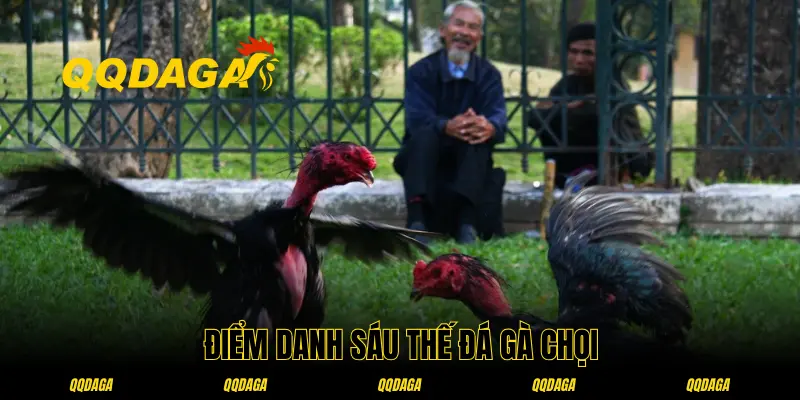 Sáu thế đòn gà chọi kinh điển