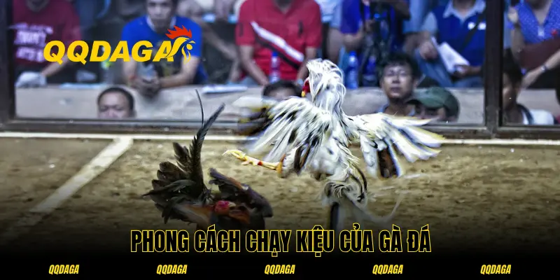 Thế chạy kiệu khiến đối thủ bất ngờ
