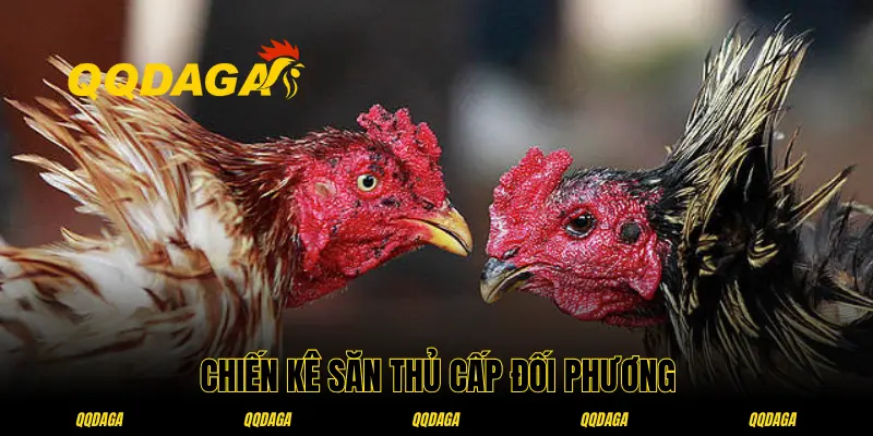 Thế săn thủ cấp được nhiều người yêu thích