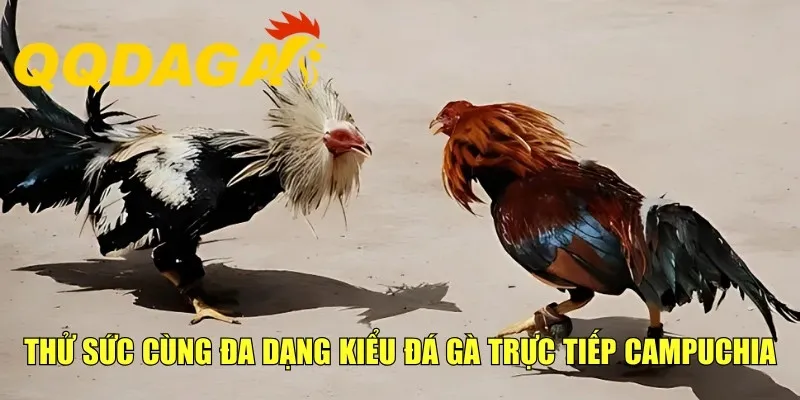 Tận hưởng màn so tài đầy gay cấn, kịch tính