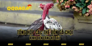 Tổng Hợp Các Thế Đòn Gà Chọi Kinh Điển Làng Kê Đấu