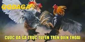 Cược Đá Gà Trực Tuyến Trên Điện Thoại Hiệu Quả Cùng Cao Thủ