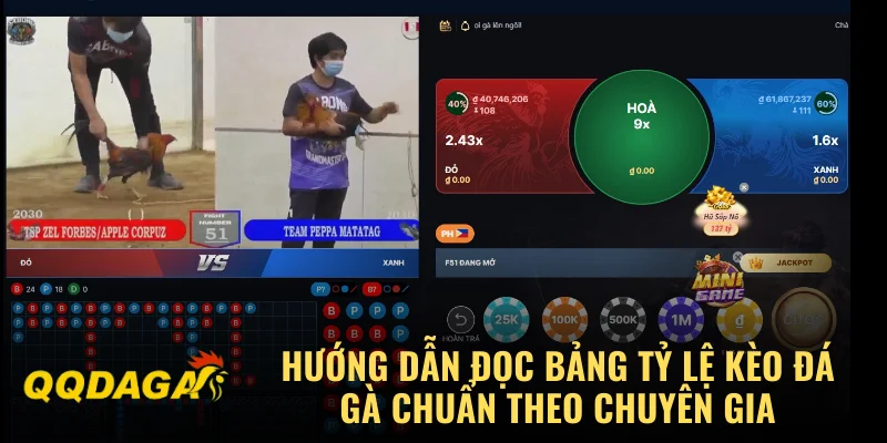 Hướng Dẫn Đọc Bảng Tỷ Lệ Kèo Đá Gà Chuẩn Theo Chuyên Gia