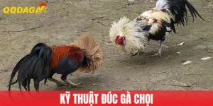 Kỹ Thuật Đúc Gà Chọi - Bí Quyết Tạo Nên Chiến Kê Bất Bại