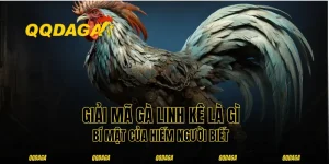 Giải Mã Gà Linh Kê Là Gì - Bí Mật Của Hiếm Người Biết