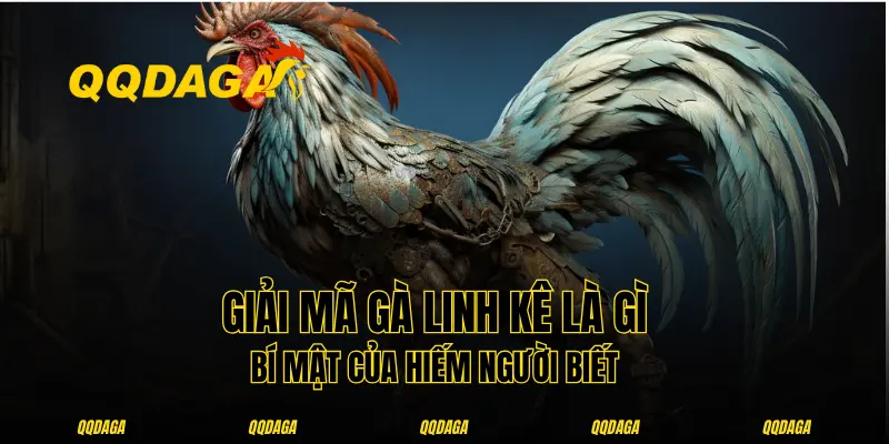 Giải Mã Gà Linh Kê Là Gì - Bí Mật Của Hiếm Người Biết